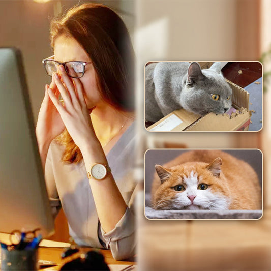 🔥Kupi 1 dobi 2 gratis🔥⚽ Interaktivna mačja žogica 🐱 Vzmetna poskakujoča mačja igrača – Baterije niso potrebne, zagotavlja neprekinjeno zabavo!