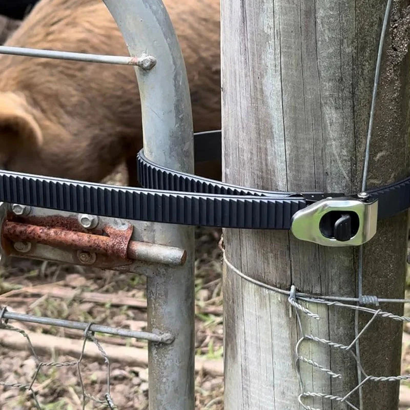 Ratchetni vezalni pas z nerjavečimi karabinami – do 2500 kg | 32 cm / 50 cm