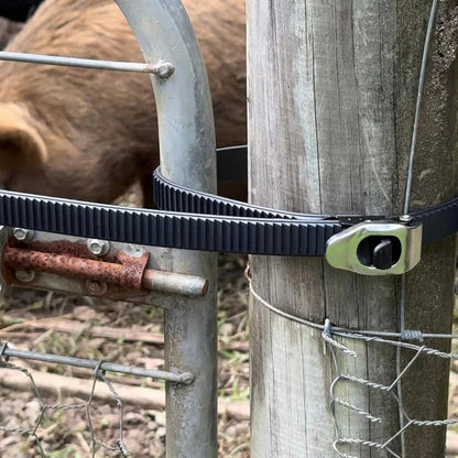 Ratchetni vezalni pas z nerjavečimi karabinami – do 2500 kg | 32 cm / 50 cm