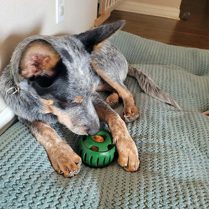 🐶 Igrača za pse počasno hranjenje z žogo in kalupom za priboljške 🐕💕