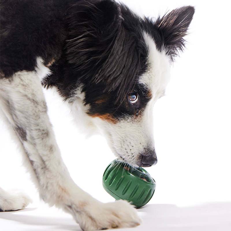 🐶 Igrača za pse počasno hranjenje z žogo in kalupom za priboljške 🐕💕